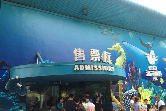 1720058282306349.jpg 4.jpg