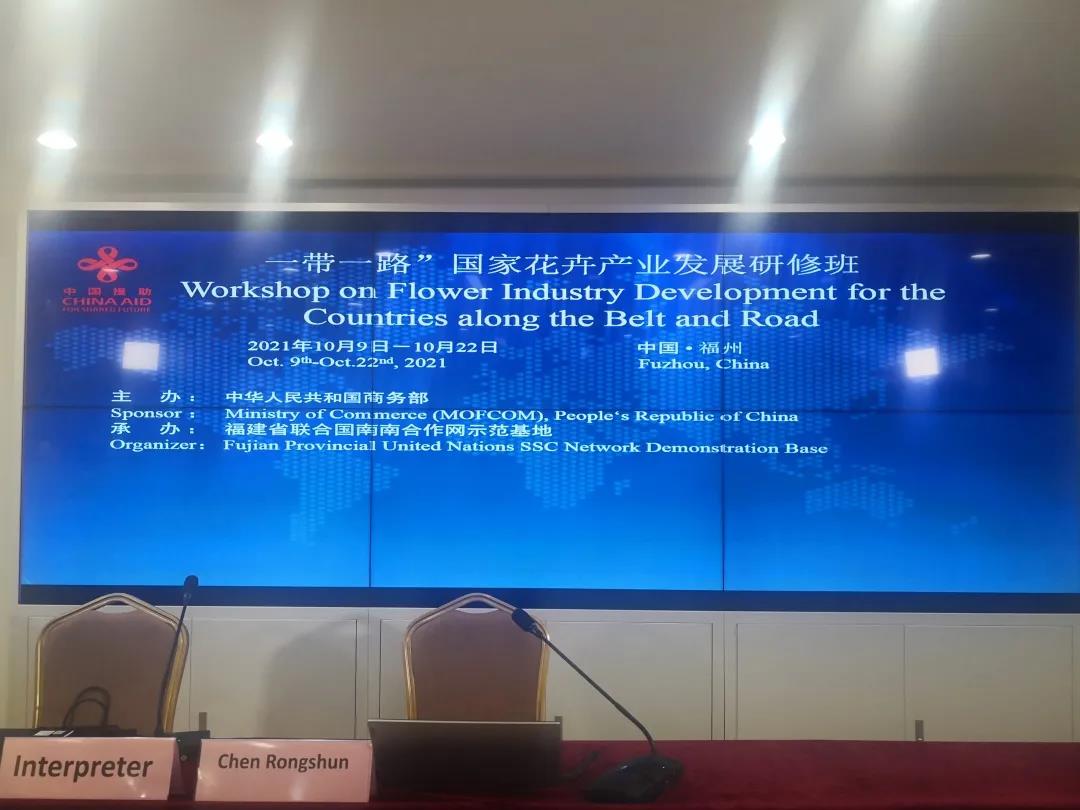 1720420142739264.jpg h.jpg